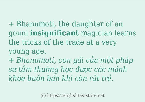 insignificant cách sử dụng và câu ví dụ