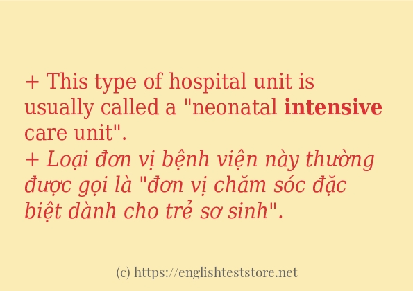 intensive sử dụng thực tế trong câu
