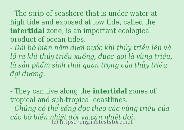intertidal câu ví dụ và cách sử dụng intertidal câu ví dụ và cách sử dụng