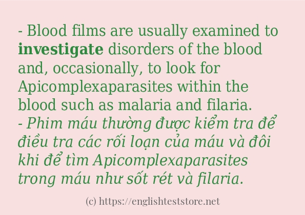 investigate các ví dụ và câu điển hình