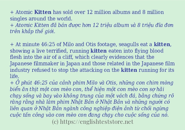 kitten sử dụng như thế nào?