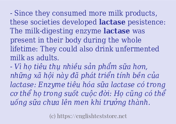 lactase các ví dụ và câu điển hình lactase các ví dụ và câu điển hình