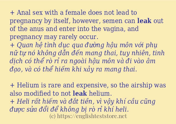 leak cách sử dụng và câu ví dụ