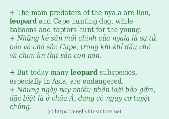 leopard các ví dụ và câu điển hình