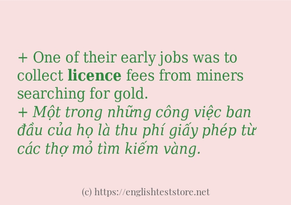 licence ví dụ cách dùng trong câu