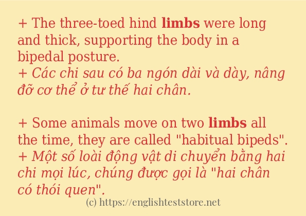 limbs cách dùng và câu ví dụ