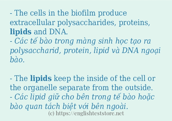 lipids ví dụ cách dùng trong câu
