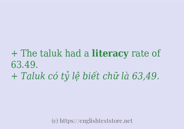 literacy cách dùng trong câu và ví dụ