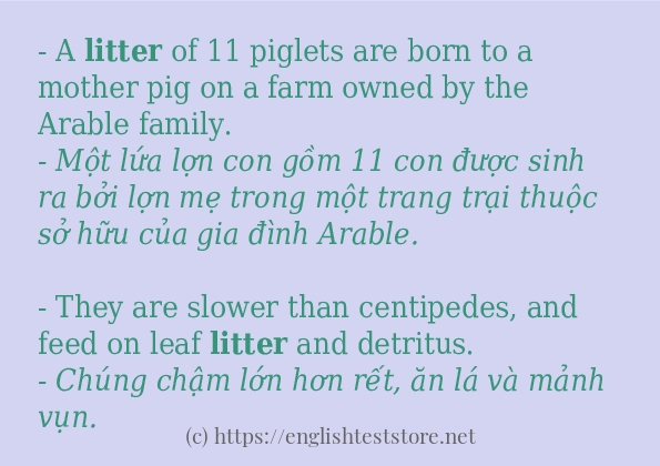 litter cách sử dụng trong câu và ví dụ