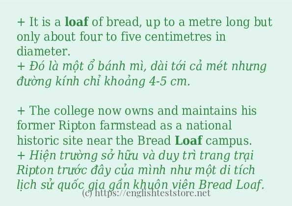 loaf cách sử dụng trong câu và ví dụ