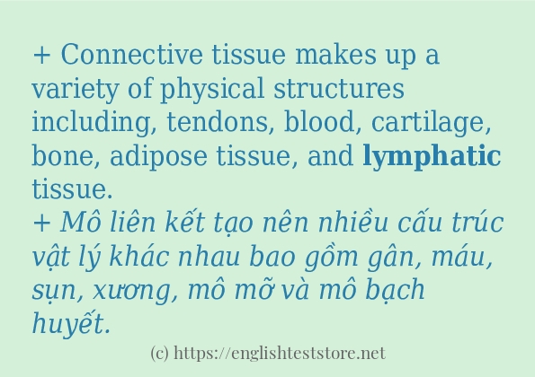 lymphatic áp dụng trong câu và ví dụ
