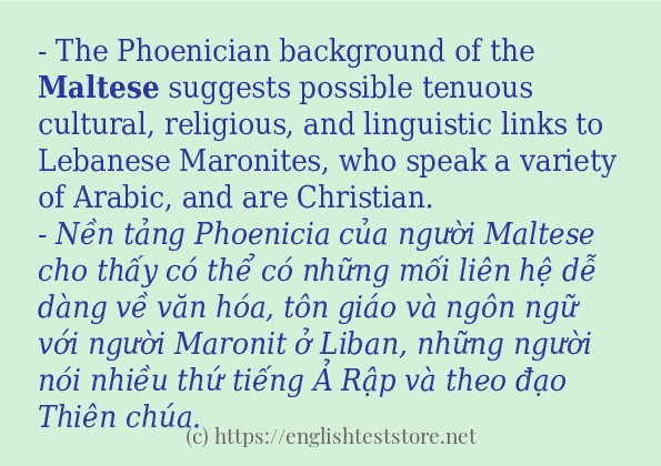 maltese áp dụng trong câu và ví dụ maltese áp dụng trong câu và ví dụ