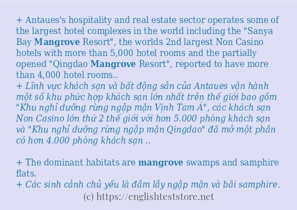 mangrove có bao nhiêu cách dùng?