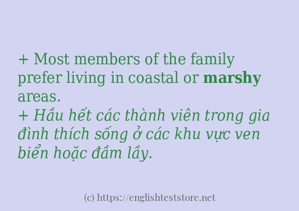 marshy sử dụng như thế nào và câu ví dụ