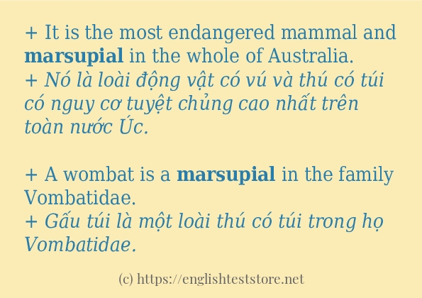 marsupial ví dụ cách dùng trong câu