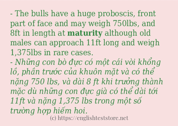 maturity các ví dụ và câu điển hình