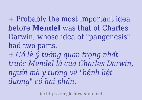 mendel câu ví dụ và cách sử dụng