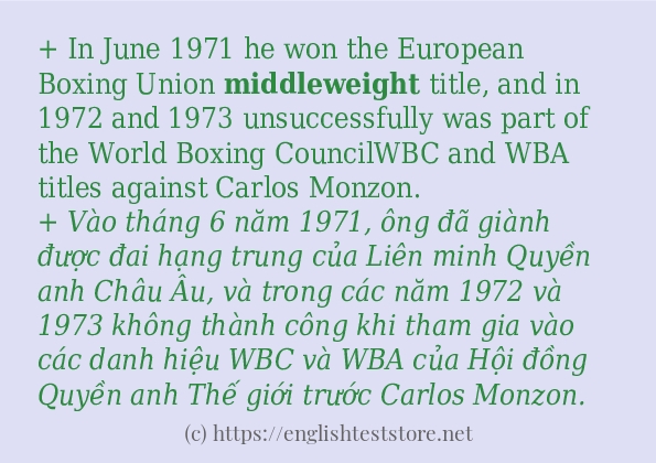 middleweight sử dụng thực tế trong câu