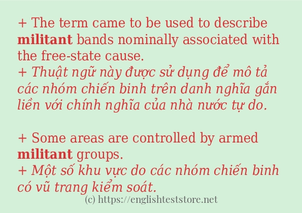 militant cách dùng và ví dụ trong câu