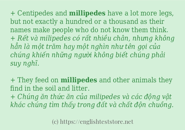 millipedes ví dụ và cách sử dụng trong câu