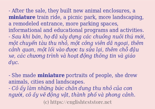 miniature có bao nhiêu cách dùng?