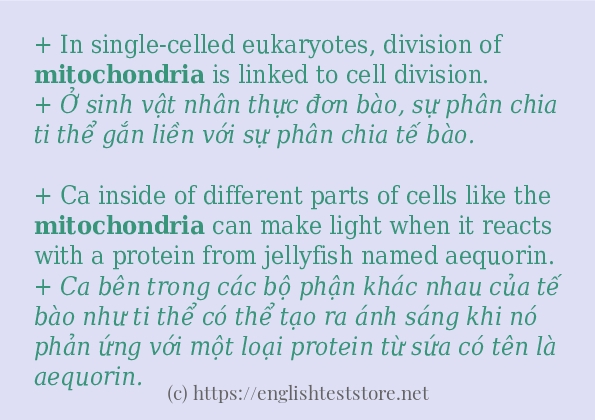 mitochondria sử dụng như thế nào? mitochondria sử dụng như thế nào?