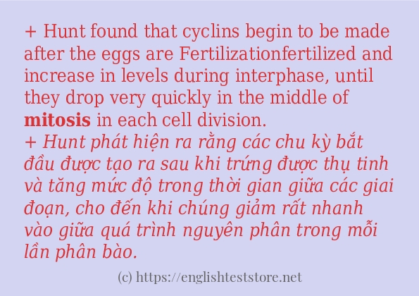 mitosis có bao nhiêu cách sử dụng? mitosis có bao nhiêu cách sử dụng?