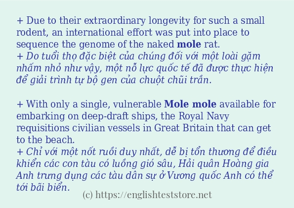 mole cách dùng và ví dụ trong câu mole cách dùng và ví dụ trong câu