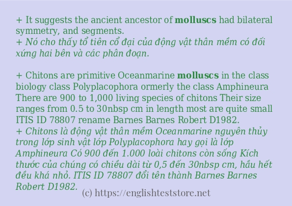 molluscs sử dụng như thế nào?