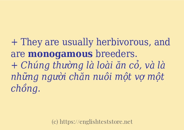 monogamous có bao nhiêu cách dùng? monogamous có bao nhiêu cách dùng?