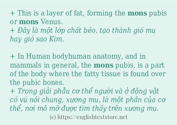 mons sử dụng như thế nào và câu ví dụ