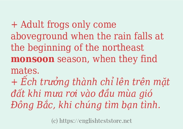 monsoon sử dụng như thế nào?