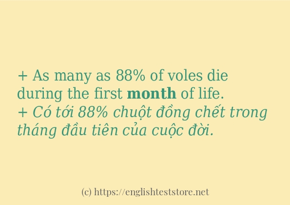 month dùng như thế nào?