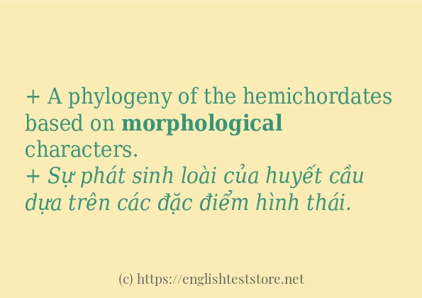 morphological áp dụng trong câu và ví dụ morphological áp dụng trong câu và ví dụ