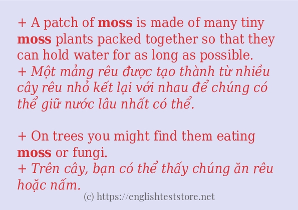 moss sử dụng như thế nào?