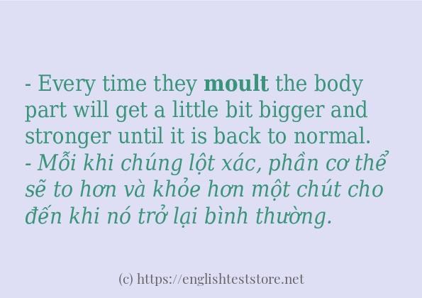 moult các cách dùng và câu ví dụ