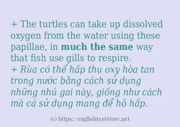 much the same cách sử dụng và câu ví dụ much the same cách sử dụng và câu ví dụ
