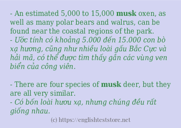 musk cách dùng và ví dụ trong câu