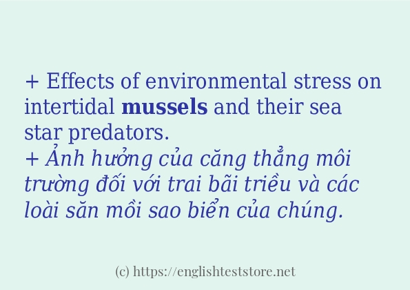 mussels sử dụng như thế nào và câu ví dụ