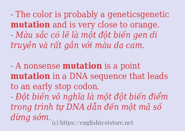 mutation sử dụng như thế nào và câu ví dụ mutation sử dụng như thế nào và câu ví dụ