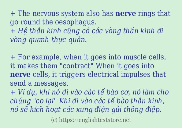 nerve câu ví dụ về cách dùng