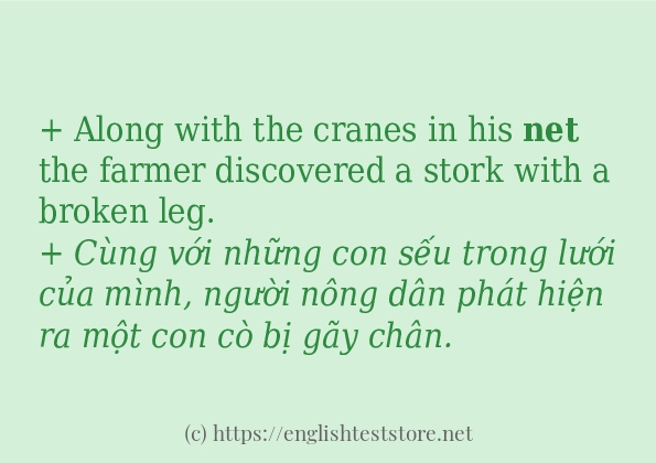 net có bao nhiêu cách sử dụng?