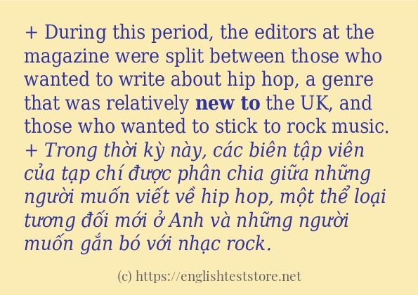 new to ví dụ cách dùng trong câu
