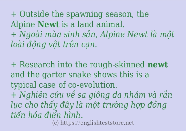 newt có bao nhiêu cách dùng?