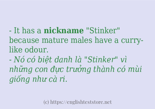 nickname sử dụng như thế nào và câu ví dụ