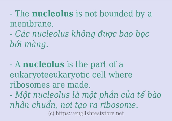 nucleolus các ví dụ và câu điển hình