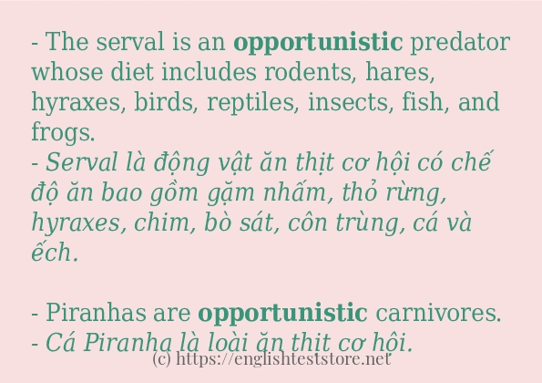 opportunistic cách dùng và ví dụ trong câu