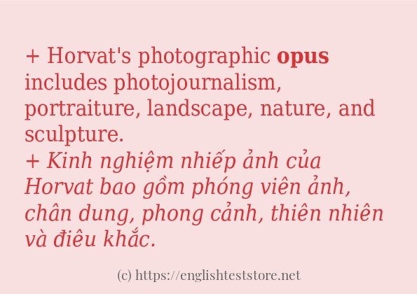 opus áp dụng trong câu và ví dụ
