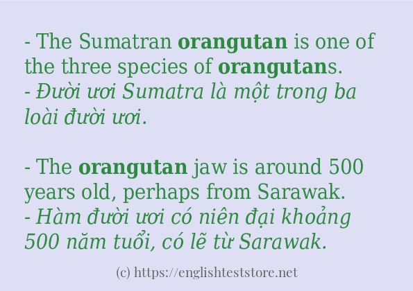 orangutan câu ví dụ và cách dùng orangutan câu ví dụ và cách dùng
