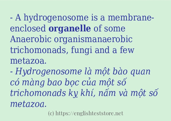 organelle sử dụng như thế nào?